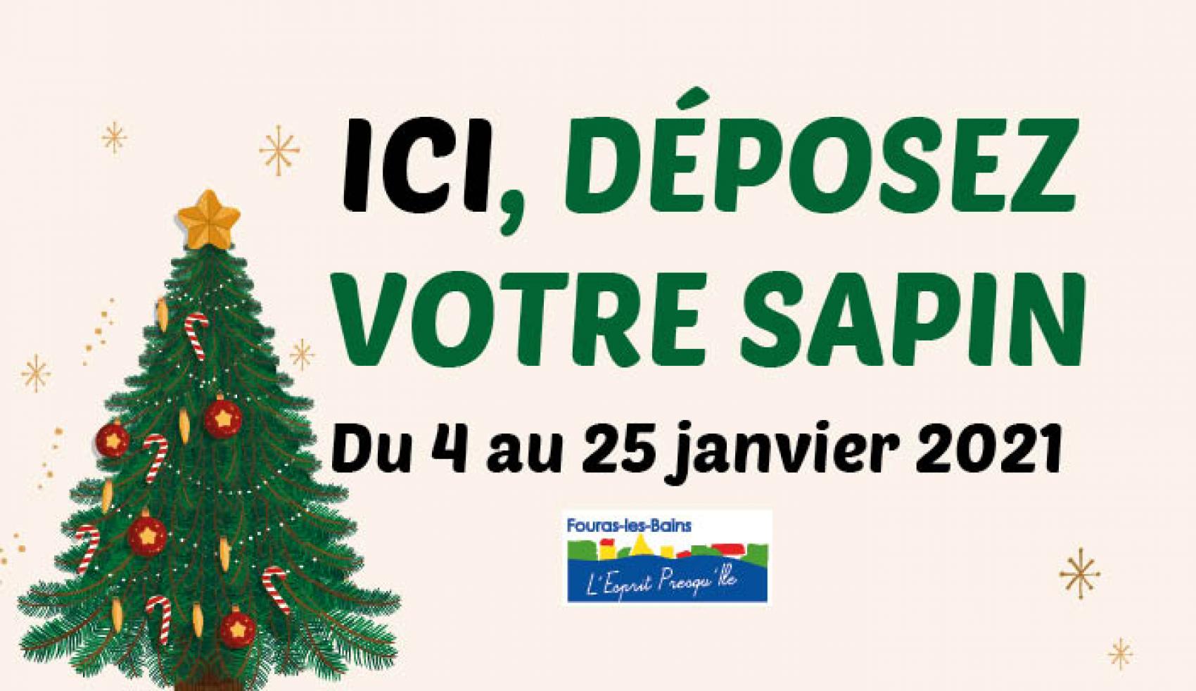 SAPINS DE NOËL - POINTS D’APPORT TEMPORAIRES