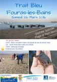 Journée Spéciale « Trait Bleu Fouras-les-Bains » avec la LPO, au Port Nord.